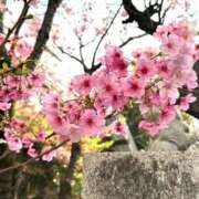 ヒメ日記 2025/04/07 13:14 投稿 ゆか 濃厚即19妻