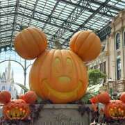 ヒメ日記 2025/10/15 13:44 投稿 ゆか 濃厚即19妻