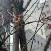 ヒメ日記 2026/03/17 13:56 投稿 ゆか 濃厚即19妻