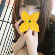 芽衣子 今日も✨ Arrest（アレスト）