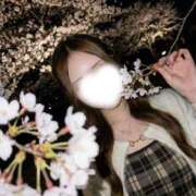 ヒメ日記 2026/04/16 21:15 投稿 かな 横浜泡洗体デラックスエステ