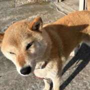 ヒメ日記 2026/08/17 16:39 投稿 れん エデンR
