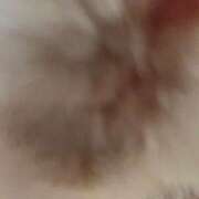 ヒメ日記 2025/01/29 18:51 投稿 滝川 なな AZITO V.I.P