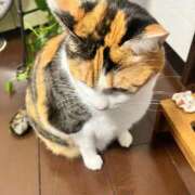 ヒメ日記 2025/01/31 15:45 投稿 滝川 なな AZITO V.I.P