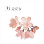 ヒメ日記 2025/03/31 08:00 投稿 滝川 なな AZITO V.I.P