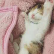 ヒメ日記 2025/04/01 10:40 投稿 滝川 なな AZITO V.I.P