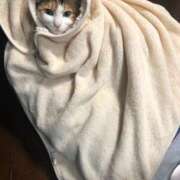 ヒメ日記 2025/04/07 07:51 投稿 滝川 なな AZITO V.I.P