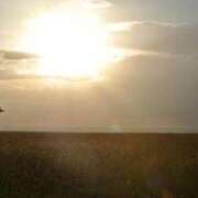 ヒメ日記 2025/04/12 07:19 投稿 滝川 なな AZITO V.I.P