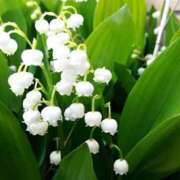 ヒメ日記 2025/05/01 06:36 投稿 滝川 なな AZITO V.I.P