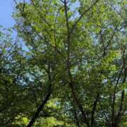 ヒメ日記 2025/05/09 13:50 投稿 滝川 なな AZITO V.I.P