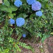 ヒメ日記 2025/06/12 08:09 投稿 滝川 なな AZITO V.I.P