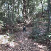 ヒメ日記 2025/06/17 07:16 投稿 滝川 なな AZITO V.I.P