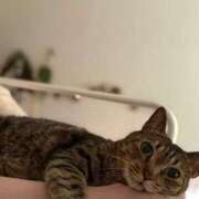 ヒメ日記 2025/07/11 15:55 投稿 滝川 なな AZITO V.I.P