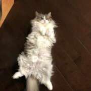 ヒメ日記 2025/08/08 08:15 投稿 滝川 なな AZITO V.I.P