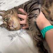 ヒメ日記 2025/08/16 06:28 投稿 滝川 なな AZITO V.I.P