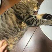 ヒメ日記 2025/09/22 06:58 投稿 滝川 なな AZITO V.I.P