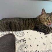 ヒメ日記 2025/09/22 18:40 投稿 滝川 なな AZITO V.I.P