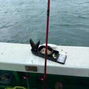 ヒメ日記 2025/10/14 07:14 投稿 滝川 なな AZITO V.I.P