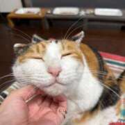 ヒメ日記 2025/10/29 06:39 投稿 滝川 なな AZITO V.I.P