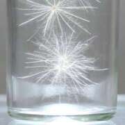 ヒメ日記 2025/11/09 06:37 投稿 滝川 なな AZITO V.I.P