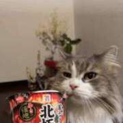 ヒメ日記 2025/11/16 07:48 投稿 滝川 なな AZITO V.I.P