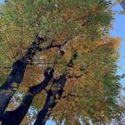 ヒメ日記 2025/11/30 16:33 投稿 滝川 なな AZITO V.I.P