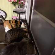 ヒメ日記 2025/12/28 07:09 投稿 滝川 なな AZITO V.I.P