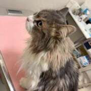 滝川 なな 朝🥶 AZITO V.I.P