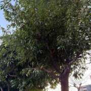 ヒメ日記 2026/02/18 07:03 投稿 滝川 なな AZITO V.I.P