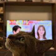 ヒメ日記 2026/02/18 08:24 投稿 滝川 なな AZITO V.I.P