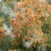 ヒメ日記 2026/02/21 06:59 投稿 滝川 なな AZITO V.I.P