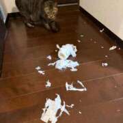 ヒメ日記 2026/02/24 07:08 投稿 滝川 なな AZITO V.I.P