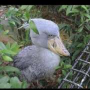 ヒメ日記 2026/03/26 07:08 投稿 滝川 なな AZITO V.I.P