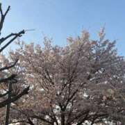 ヒメ日記 2026/04/06 07:12 投稿 滝川 なな AZITO V.I.P