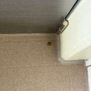ヒメ日記 2026/08/13 07:03 投稿 滝川 なな AZITO V.I.P