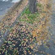 ヒメ日記 2026/10/01 07:00 投稿 滝川 なな AZITO V.I.P