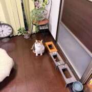 ヒメ日記 2026/10/02 06:51 投稿 滝川 なな AZITO V.I.P