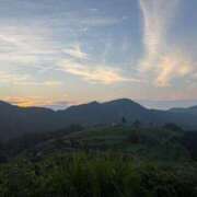 ヒメ日記 2025/08/20 19:15 投稿 百瀬　れいな AZITO V.I.P