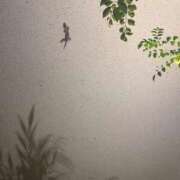 ヒメ日記 2025/10/23 16:22 投稿 百瀬　れいな AZITO V.I.P