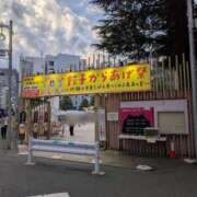 ヒメ日記 2025/09/25 17:37 投稿 春山 新宿人妻城