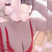 ヒメ日記 2025/06/29 09:54 投稿 かなめ マダムバンク 富山本店