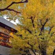 ヒメ日記 2025/12/15 20:15 投稿 森琴葉(もりことは) Montrachet(モンラッシェ)