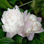 ヒメ日記 2025/05/12 20:28 投稿 あき マドンナ浜松町