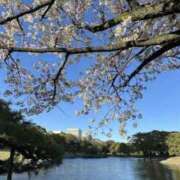 ヒメ日記 2026/04/02 21:47 投稿 あき マドンナ浜松町