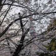 ヒメ日記 2026/04/06 19:35 投稿 あき マドンナ浜松町