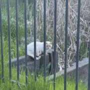 ヒメ日記 2025/04/28 23:46 投稿 せんり 快楽玉乱堂