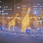 ヒメ日記 2025/12/12 09:36 投稿 せんり 快楽玉乱堂