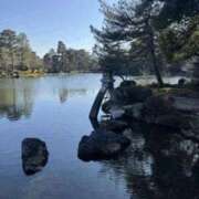 ヒメ日記 2026/03/24 08:36 投稿 せんり 快楽玉乱堂