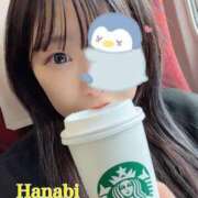 ヒメ日記 2025/04/03 14:04 投稿 はなび チューリップ福井別館