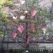 ヒメ日記 2025/04/25 23:09 投稿 みるく 最高級 エロエロ奥様 松戸店